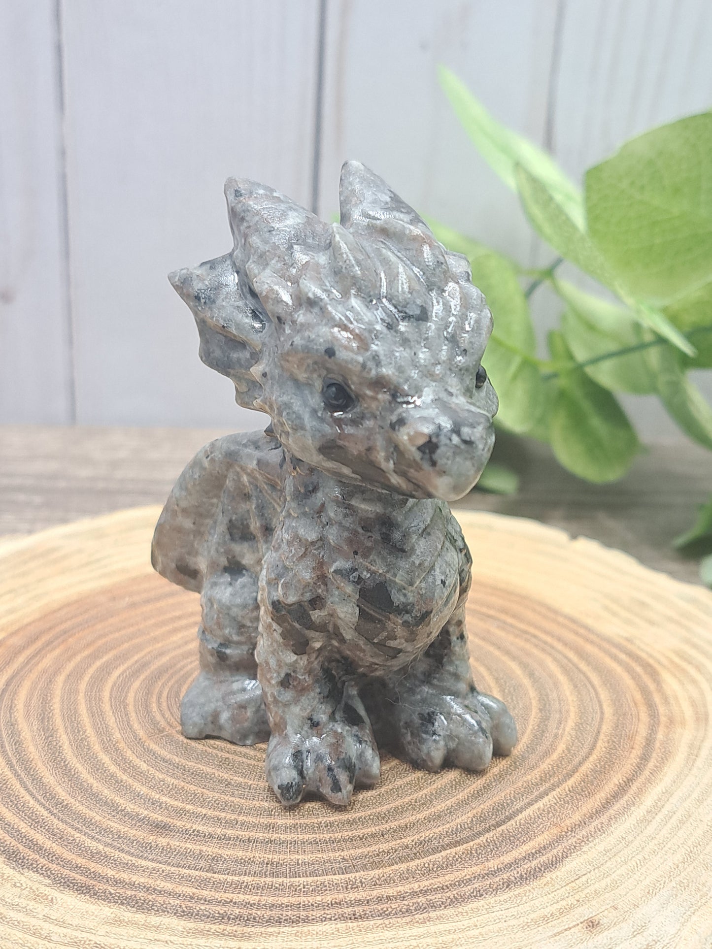 Baby Dragon - Large