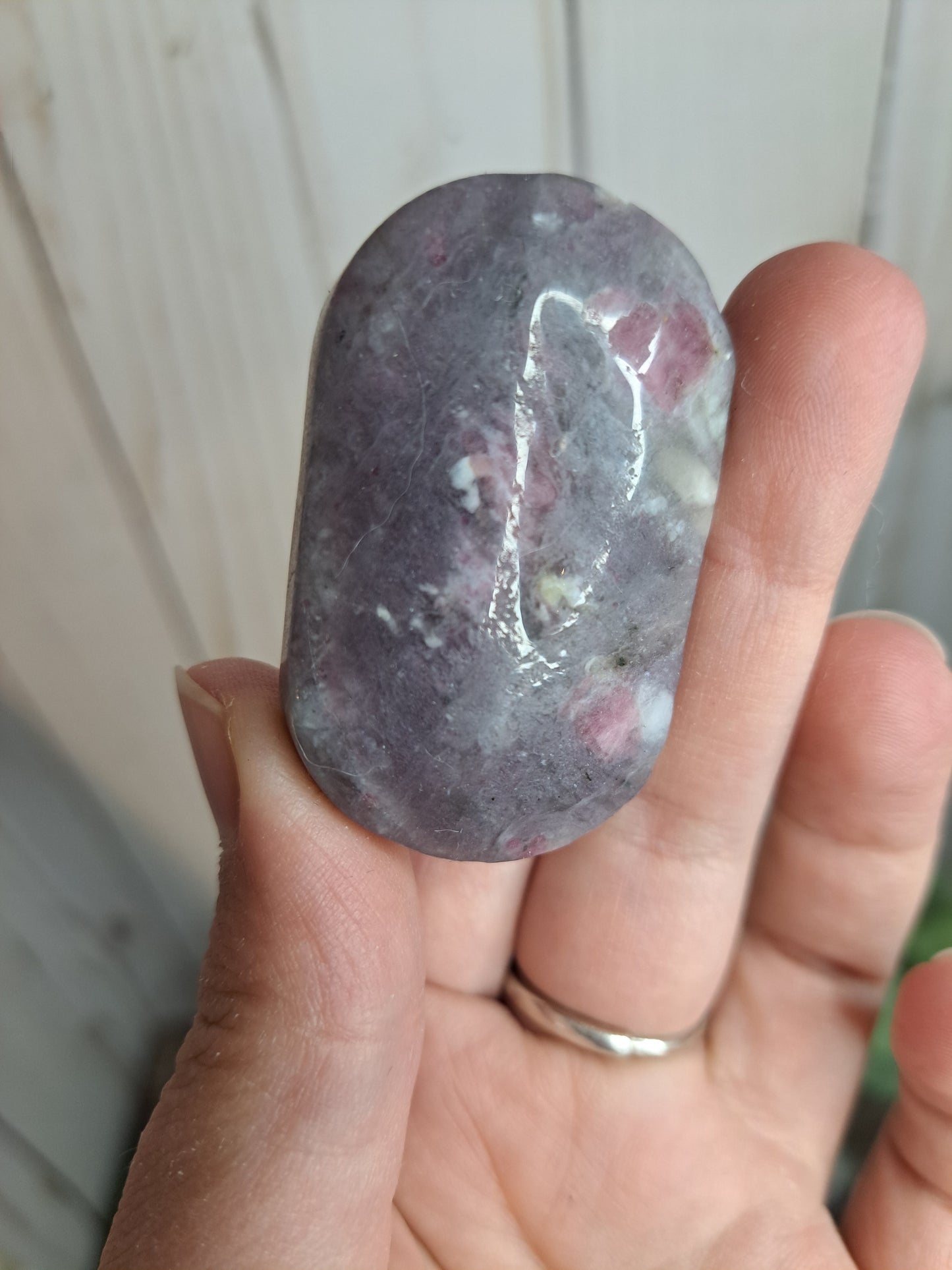 Unicorn Stone Palm Stone