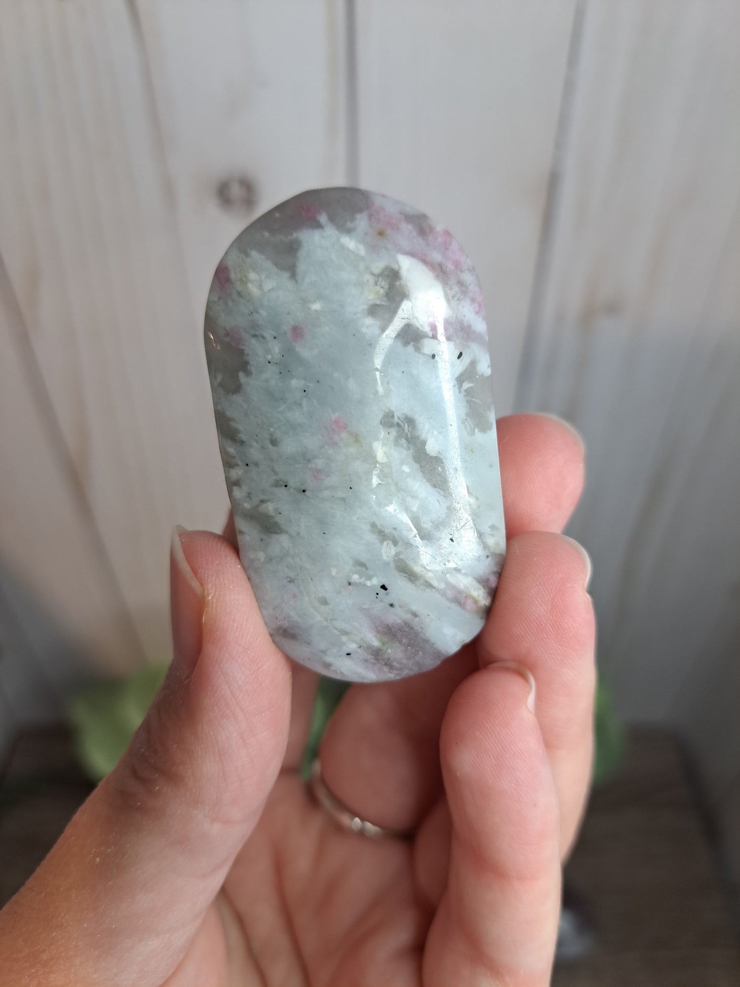 Unicorn Stone Palm Stone