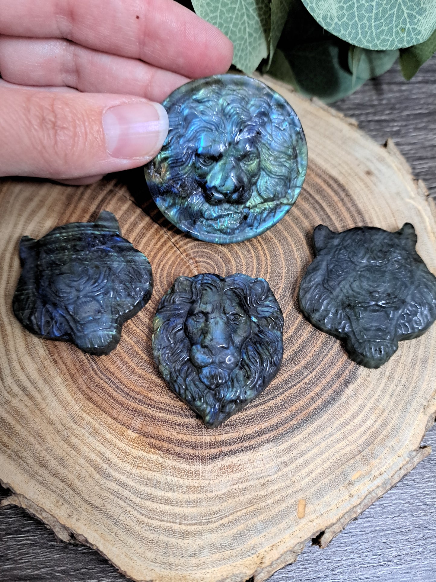 Lion & Tiger Labradorite Carving