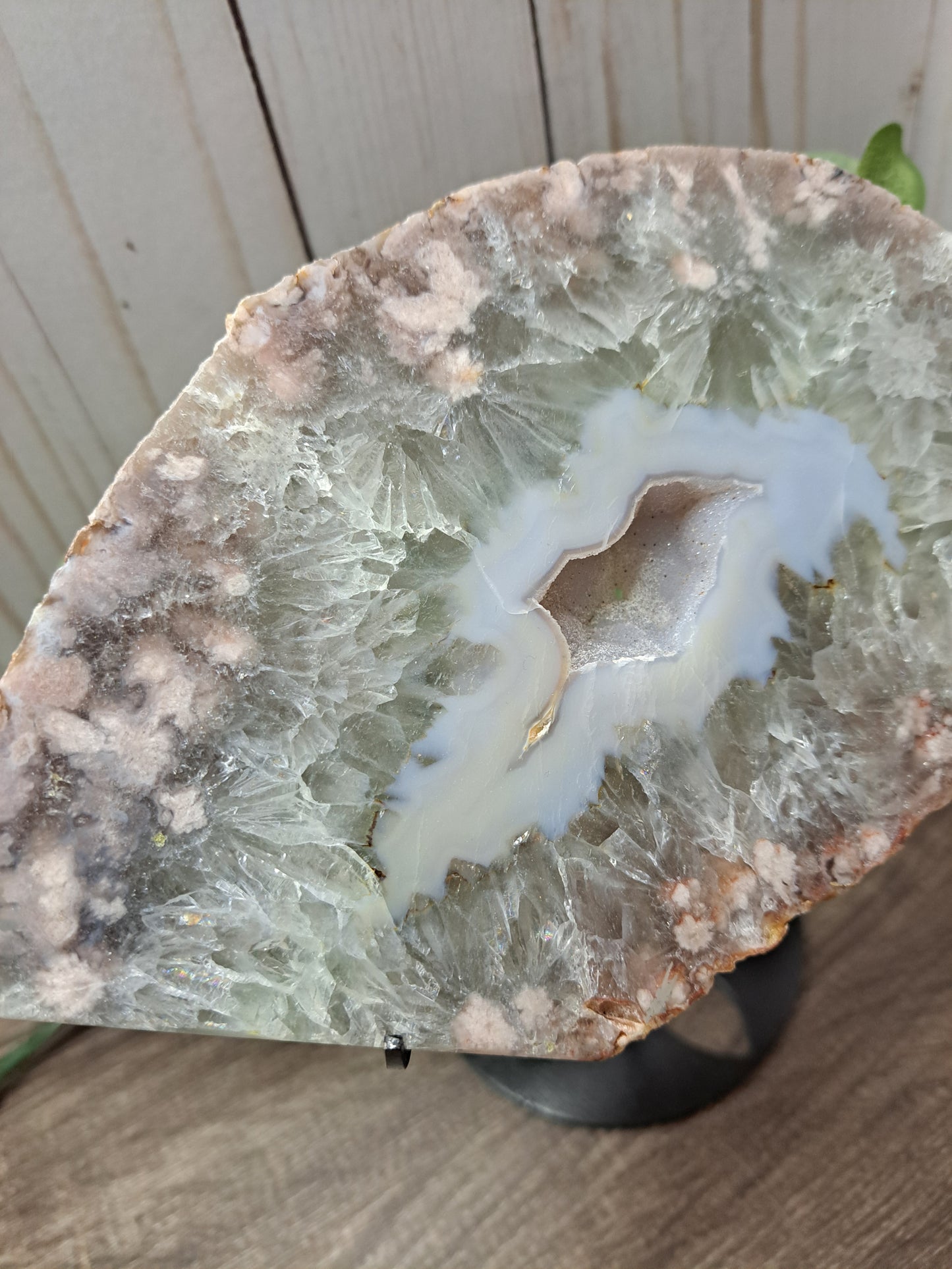 Druzy Slab - Presulite, Flower Agate