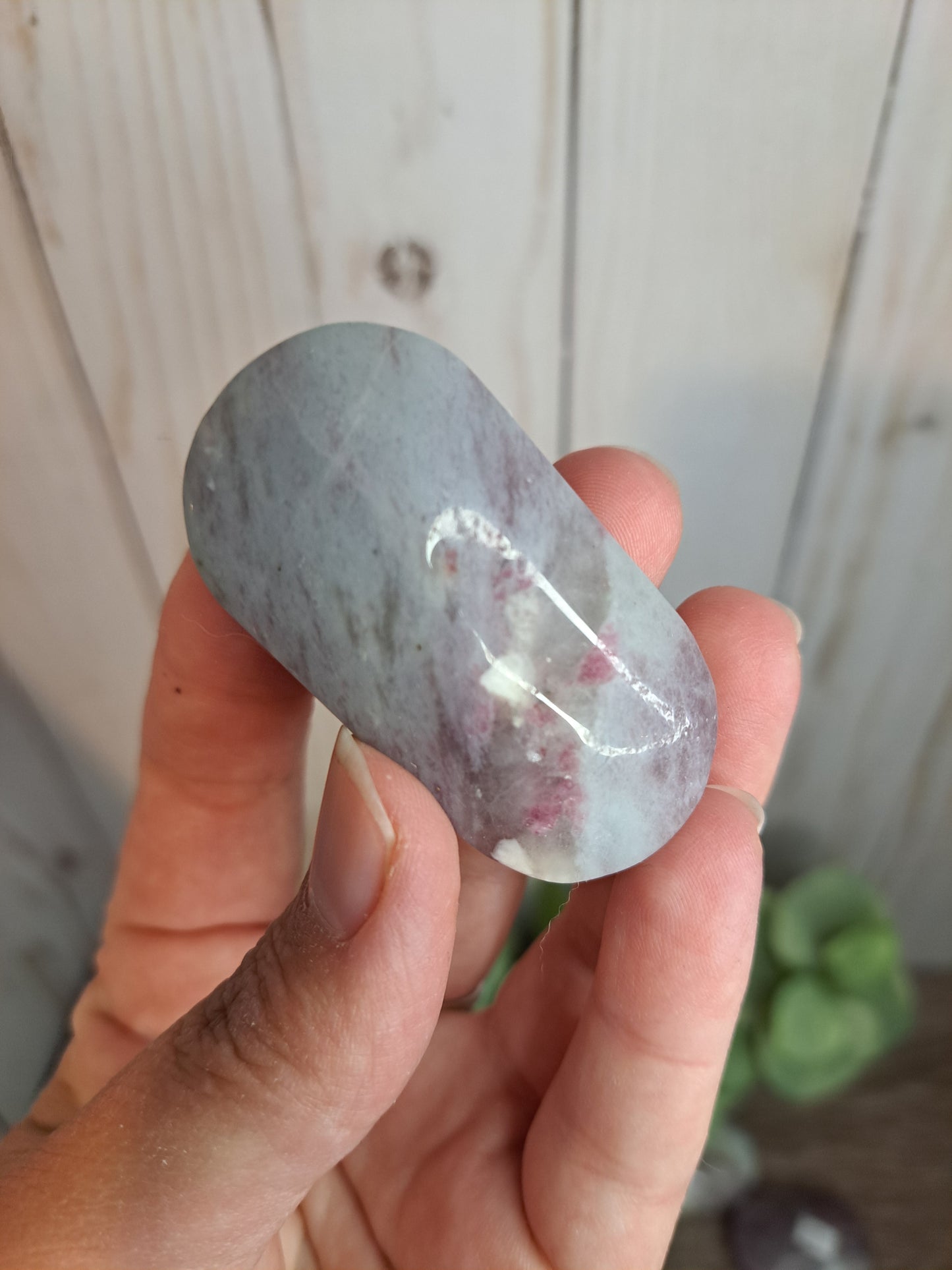 Unicorn Stone Palm Stone