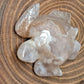 Flower Agate Turtles