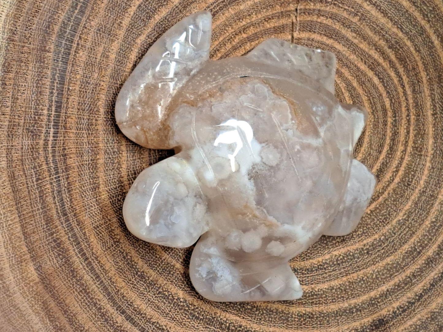 Flower Agate Turtles