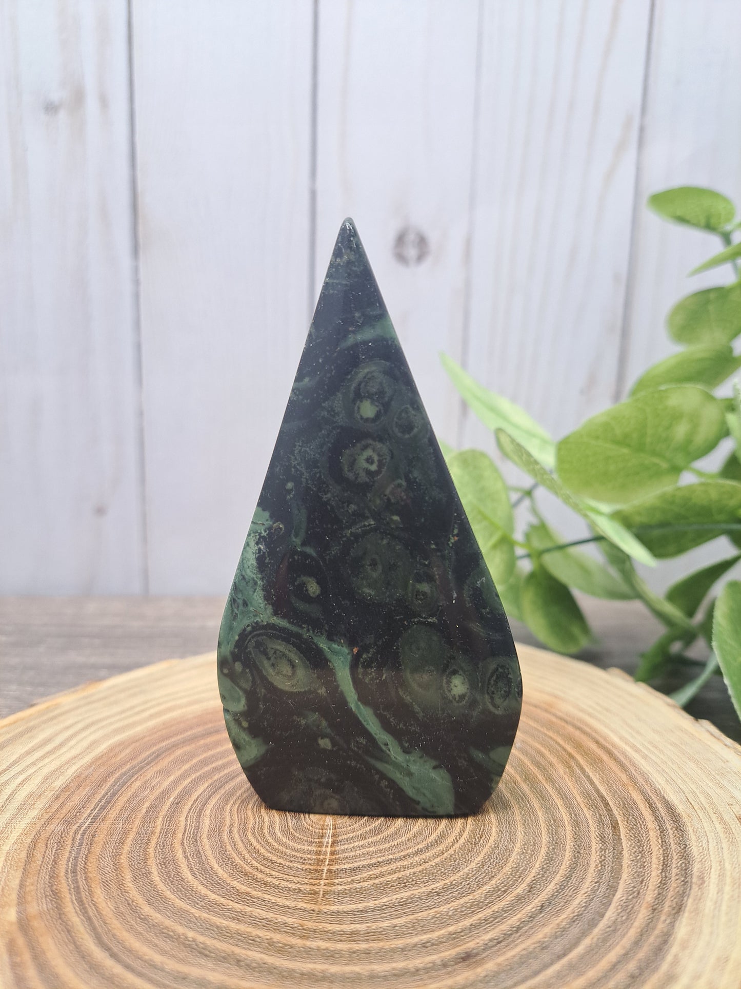 Kambaba Jasper Freeforms