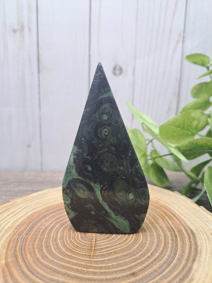 Kambaba Jasper Freeforms