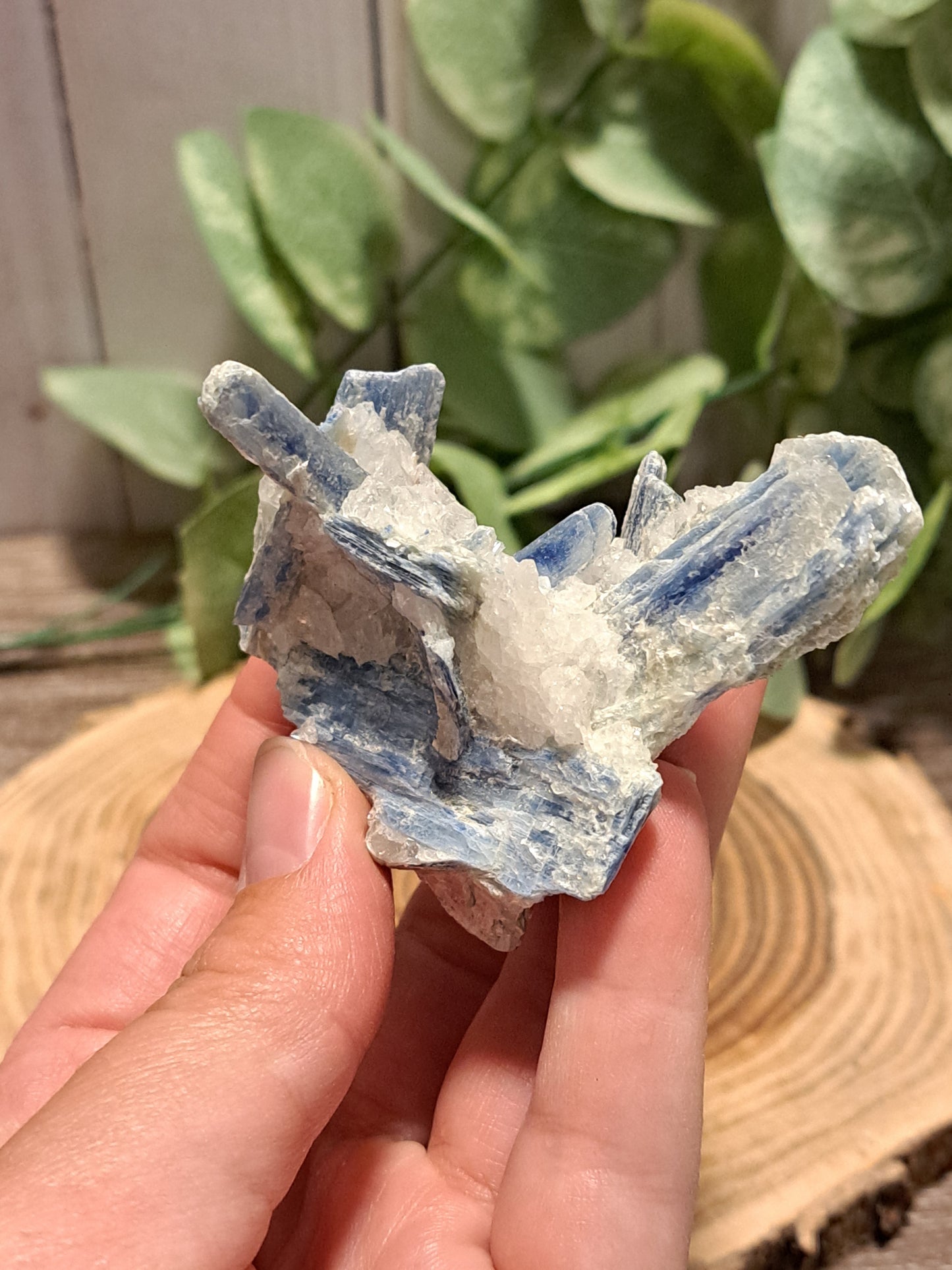 Kyanite Raw