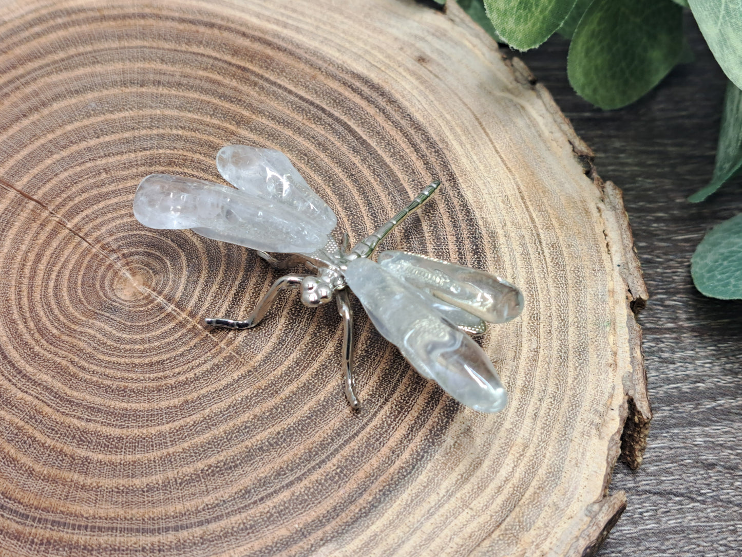 Dragonflies