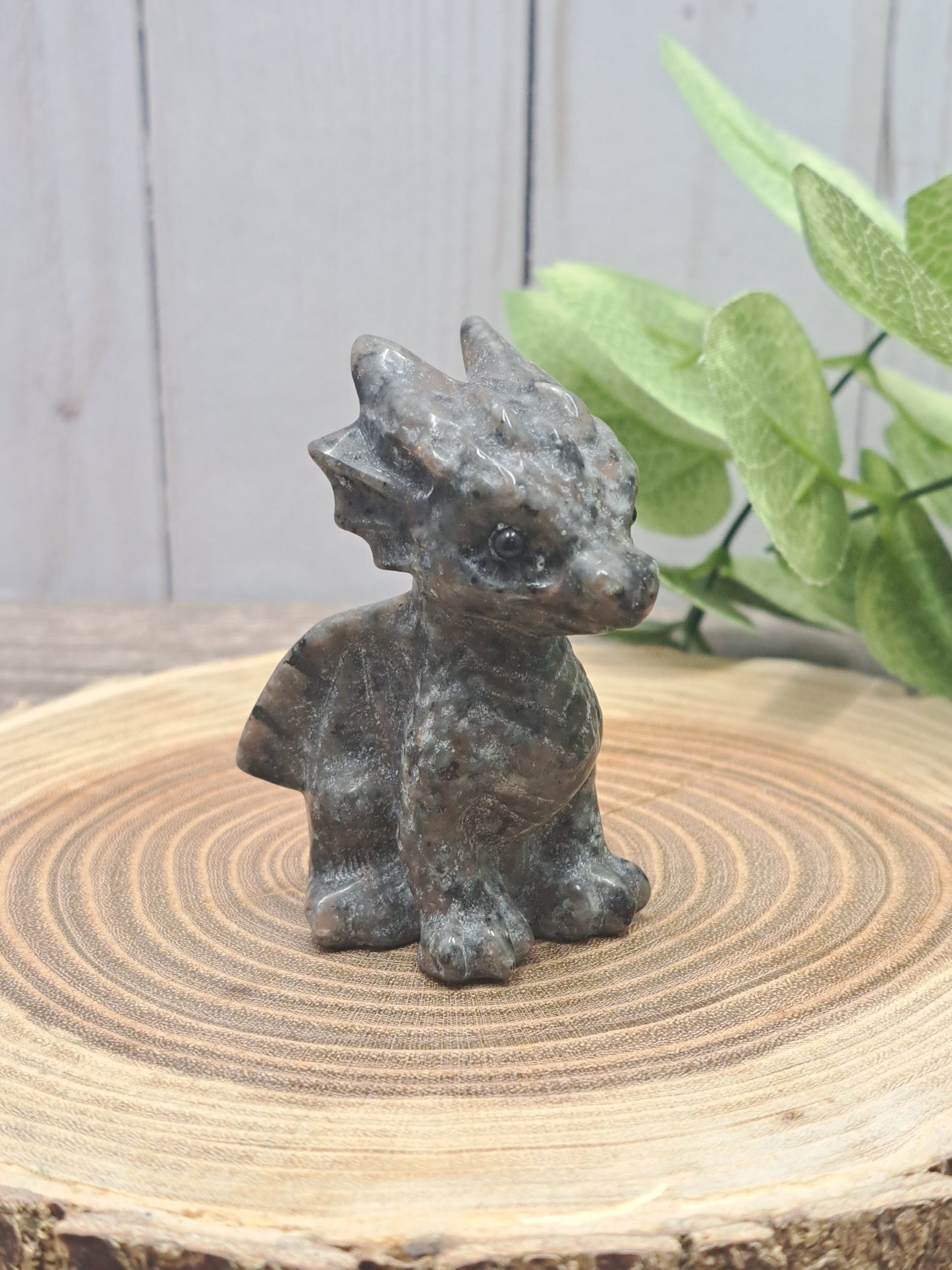Baby Dragon - Small