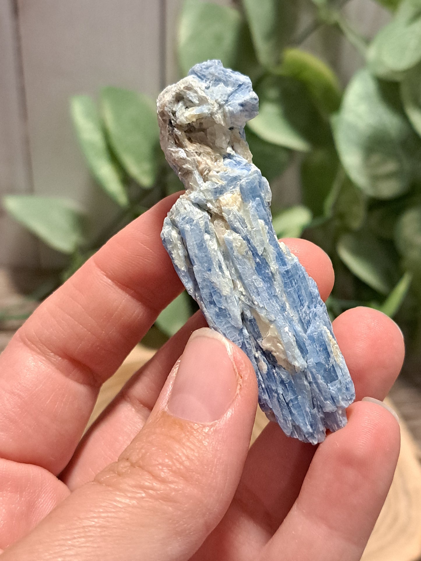 Kyanite Raw