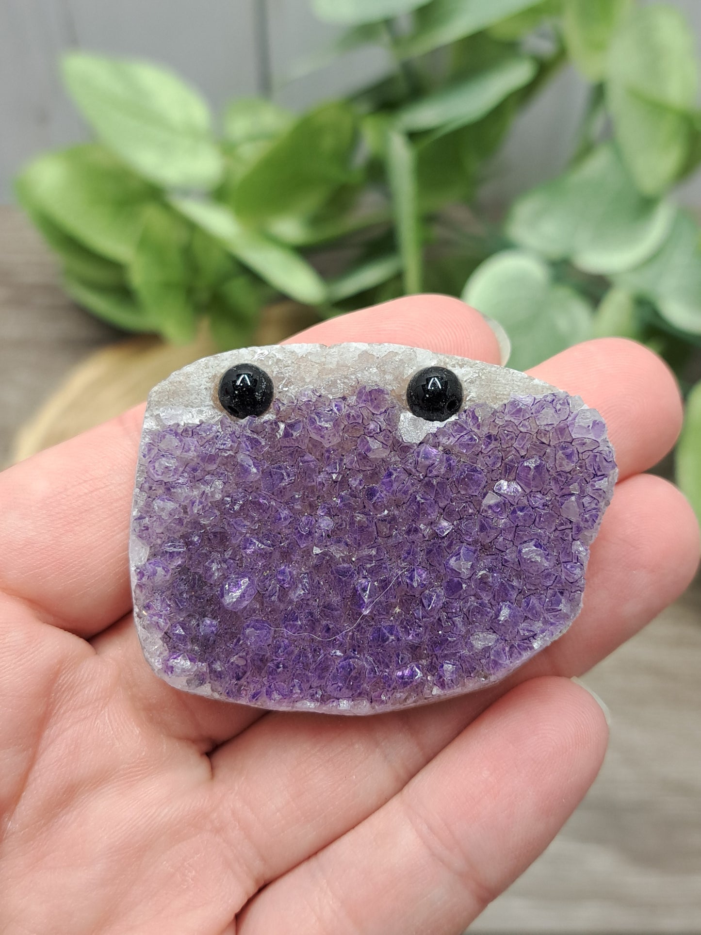 Amethyst Rock Pets