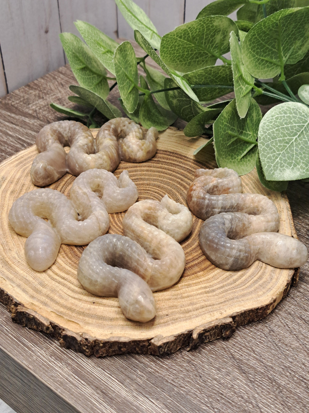 Snake Carvings - Moonstone