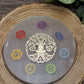 Selenite Charging Plates