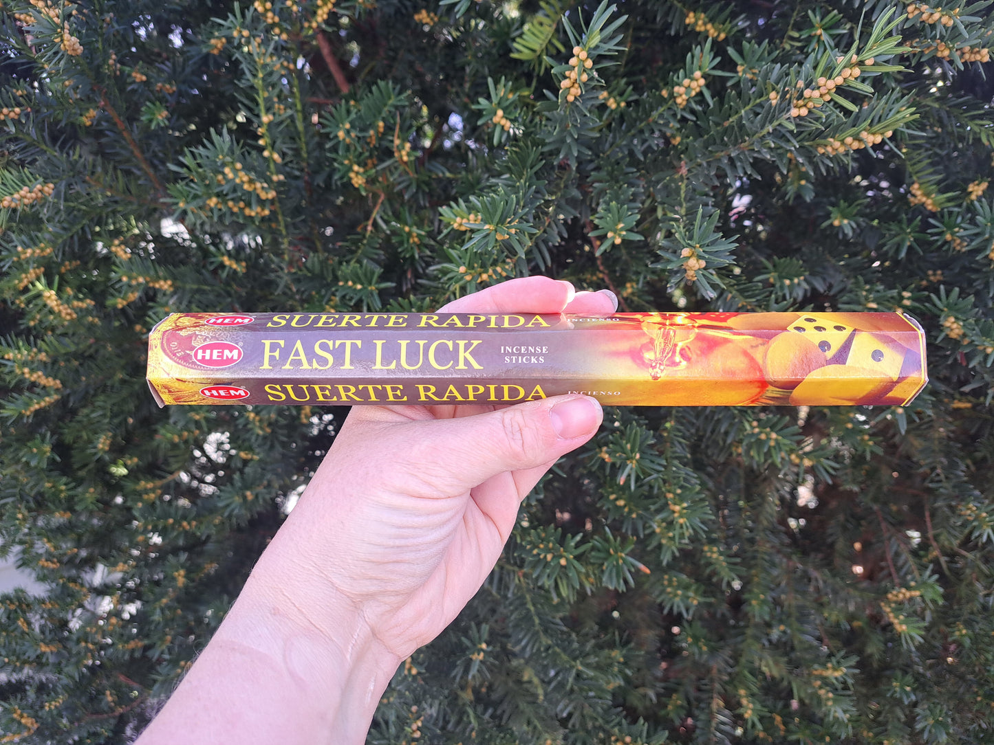 Fast Luck Incense Sticks pk 20