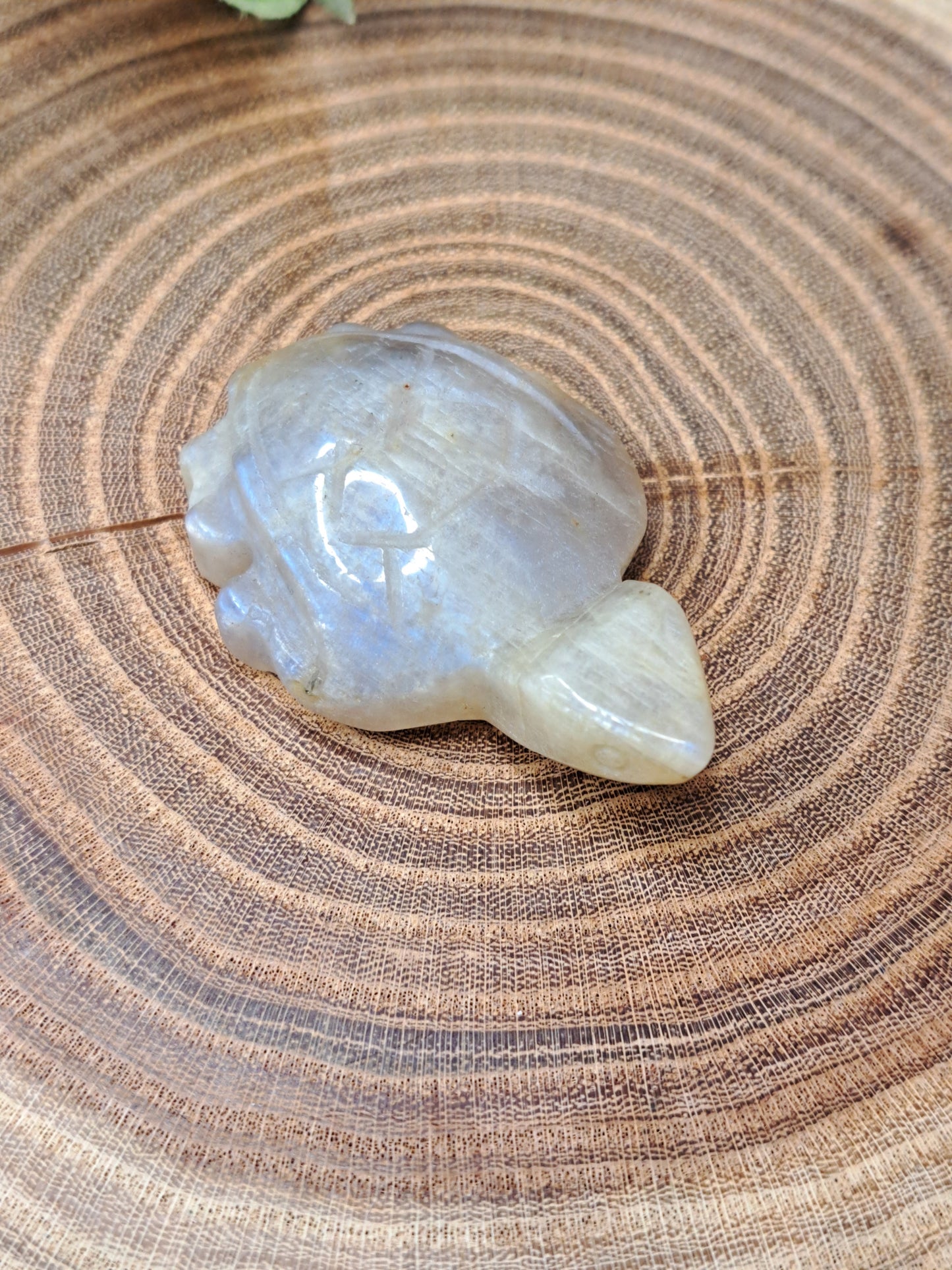 Moonstone Turtle Carvings
