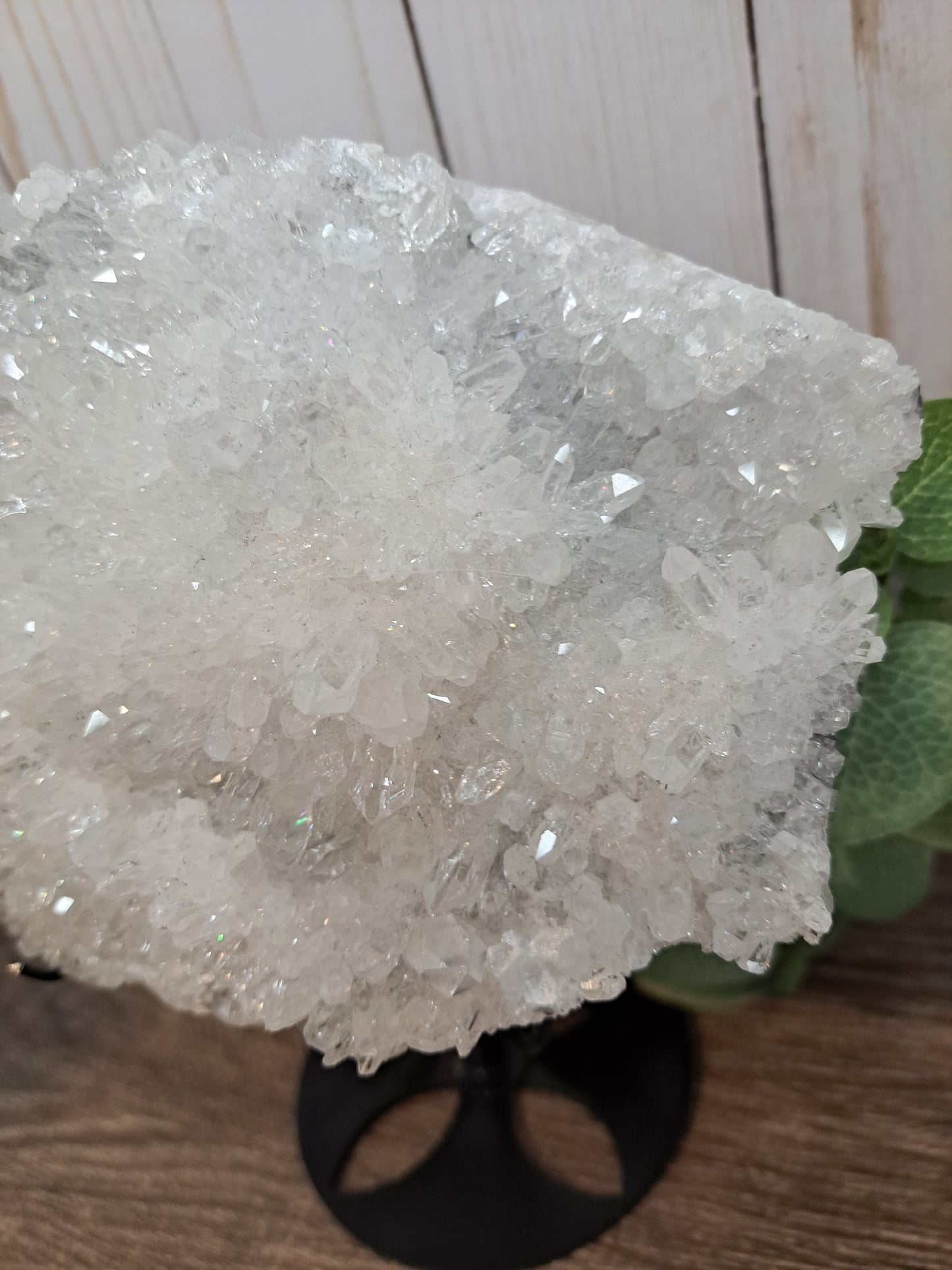 Chrysanthemum Quartz - Statement Cluster