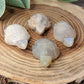 Moonstone Turtle Carvings