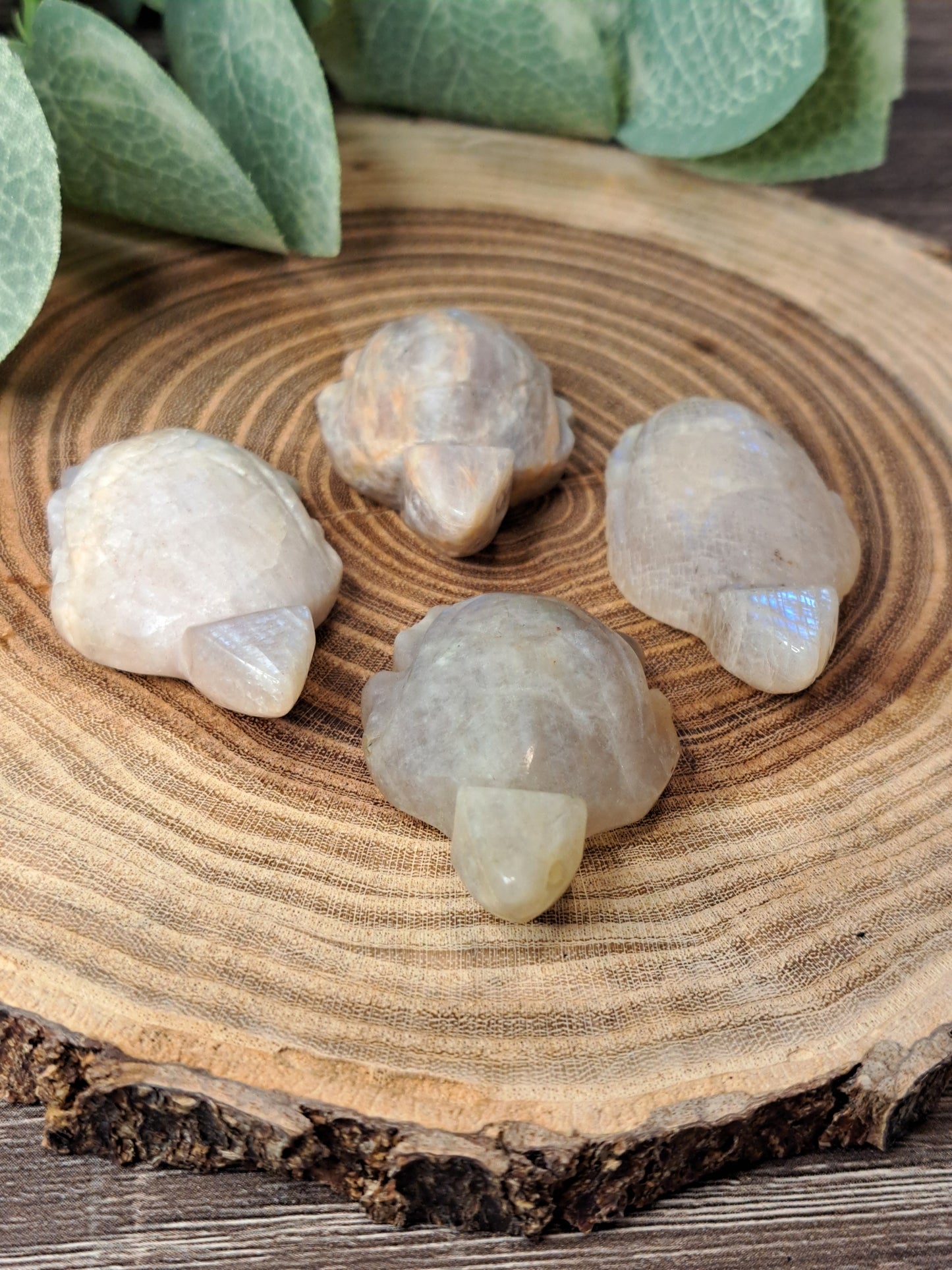 Moonstone Turtle Carvings