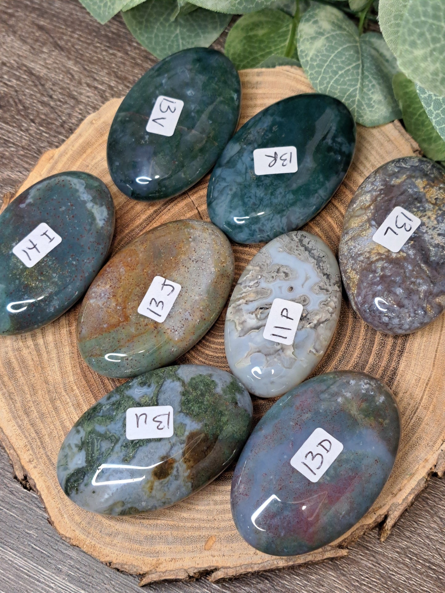 Moss Agate Palm Stones
