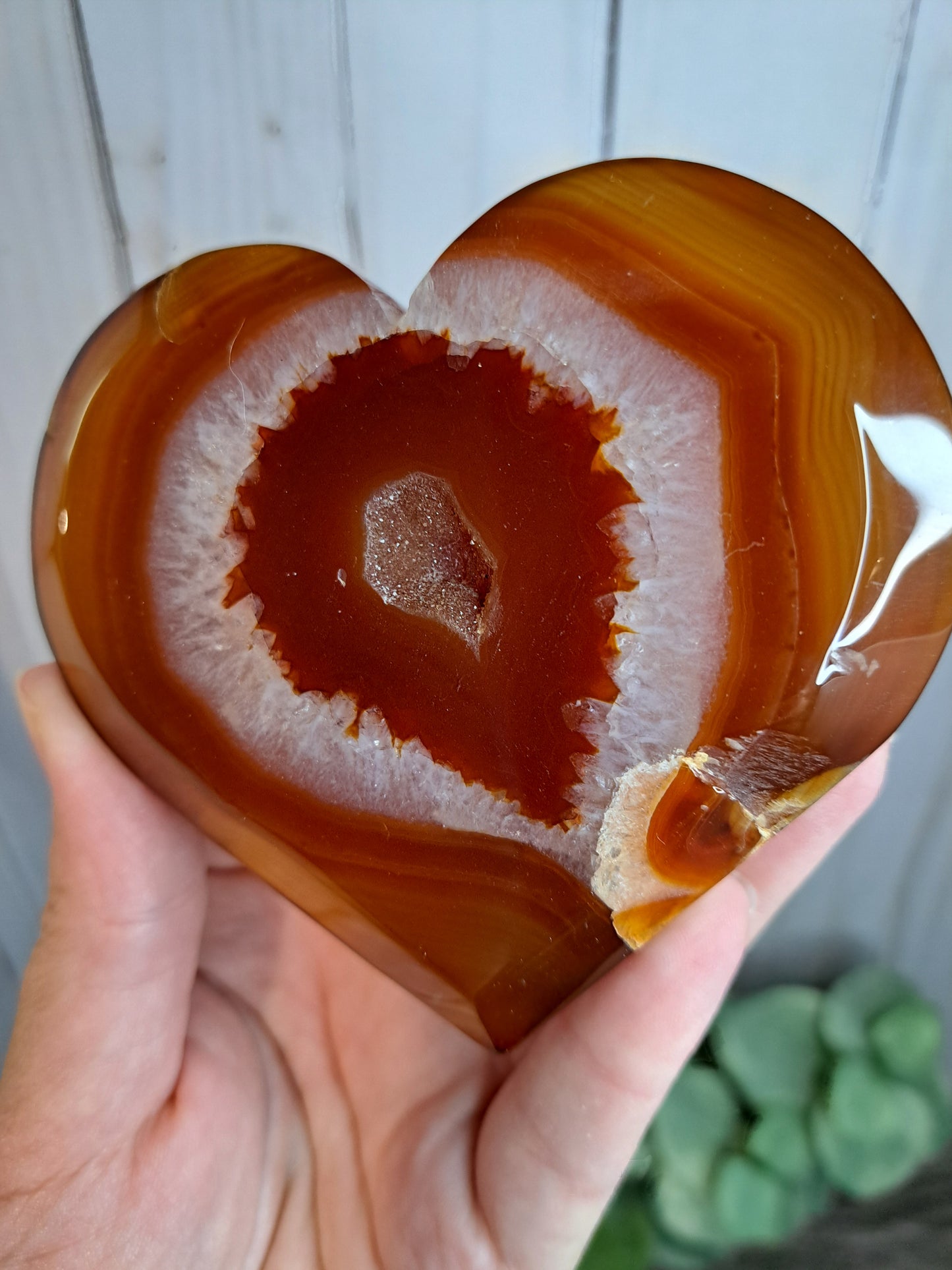 Carnelian Druzy Hearts