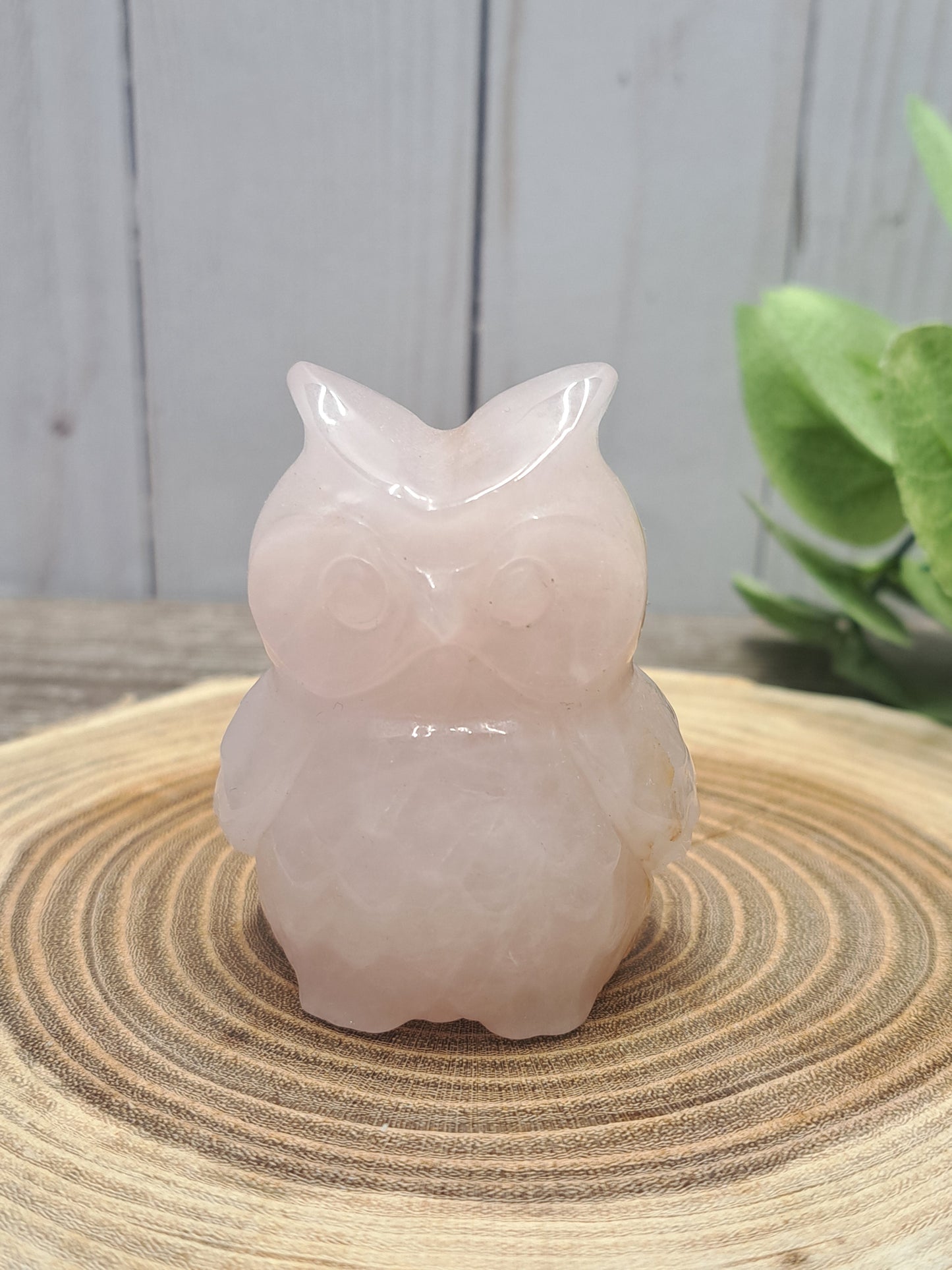 Owl Carvings - Medium