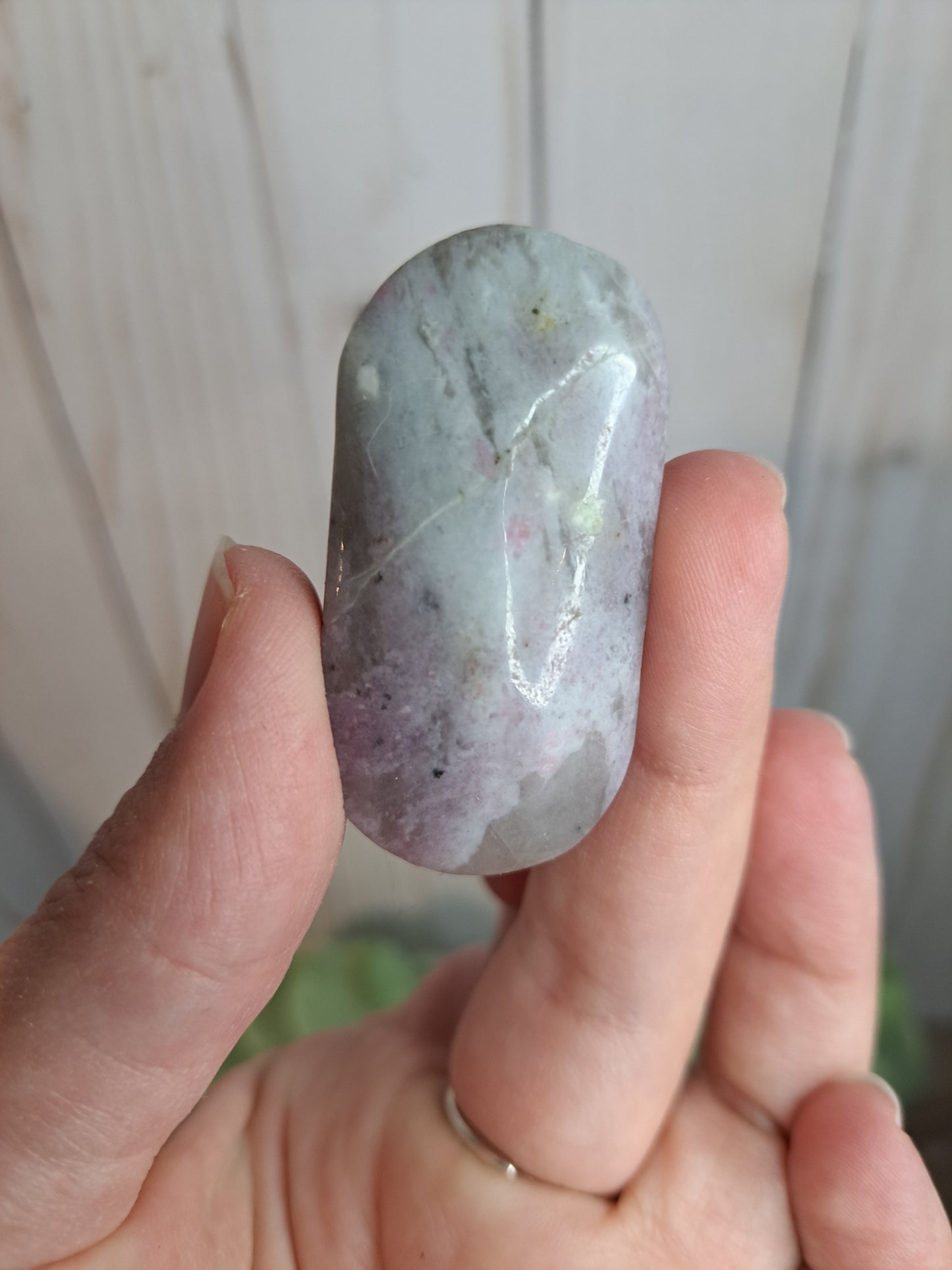 Unicorn Stone Palm Stone