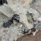 Chrysanthemum Quartz with Pyrite and other inclusions - Statement Cluster