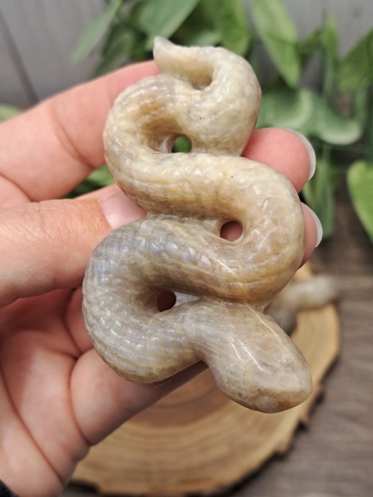 Snake Carvings - Moonstone