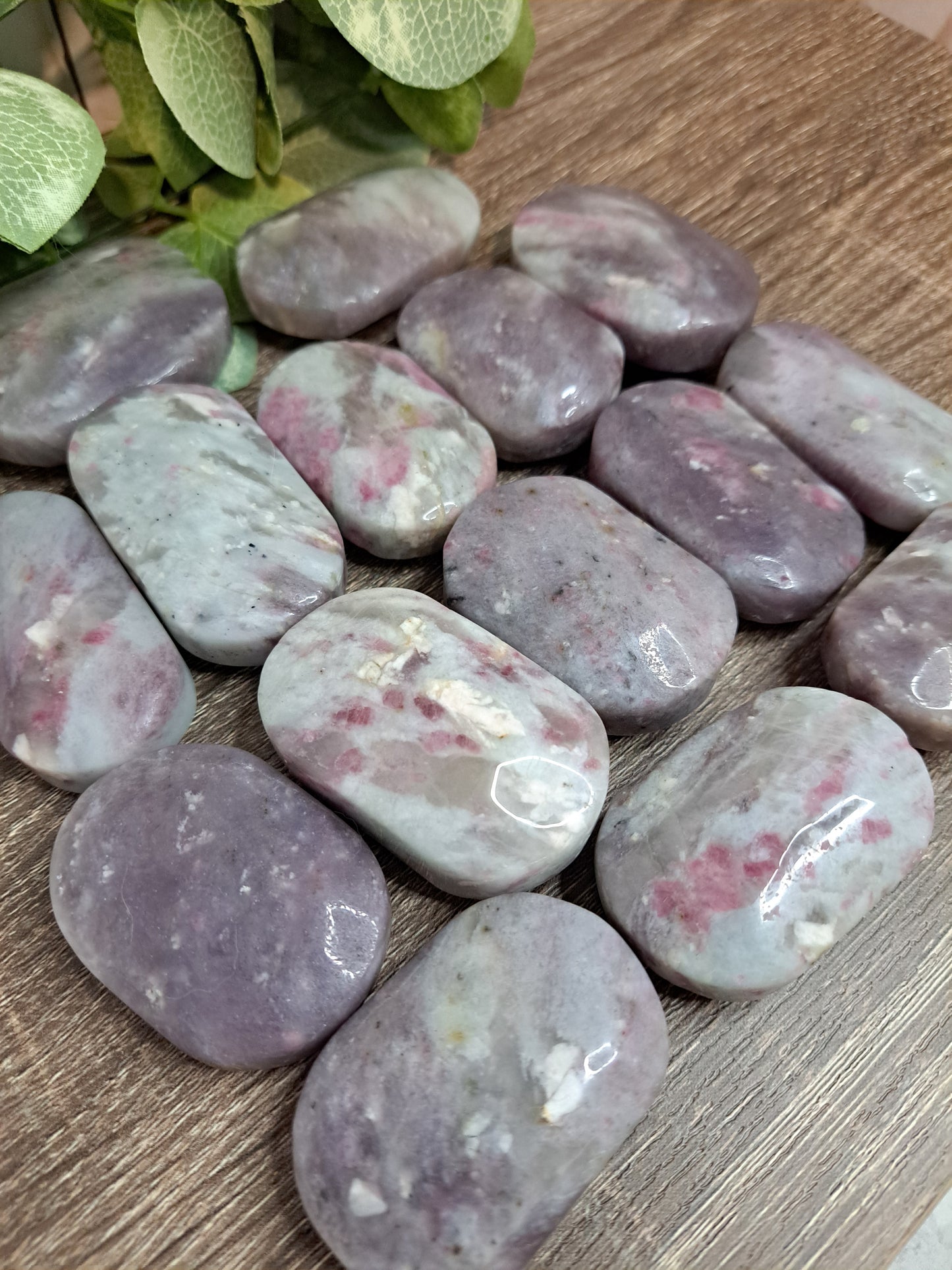 Unicorn Stone Palm Stone