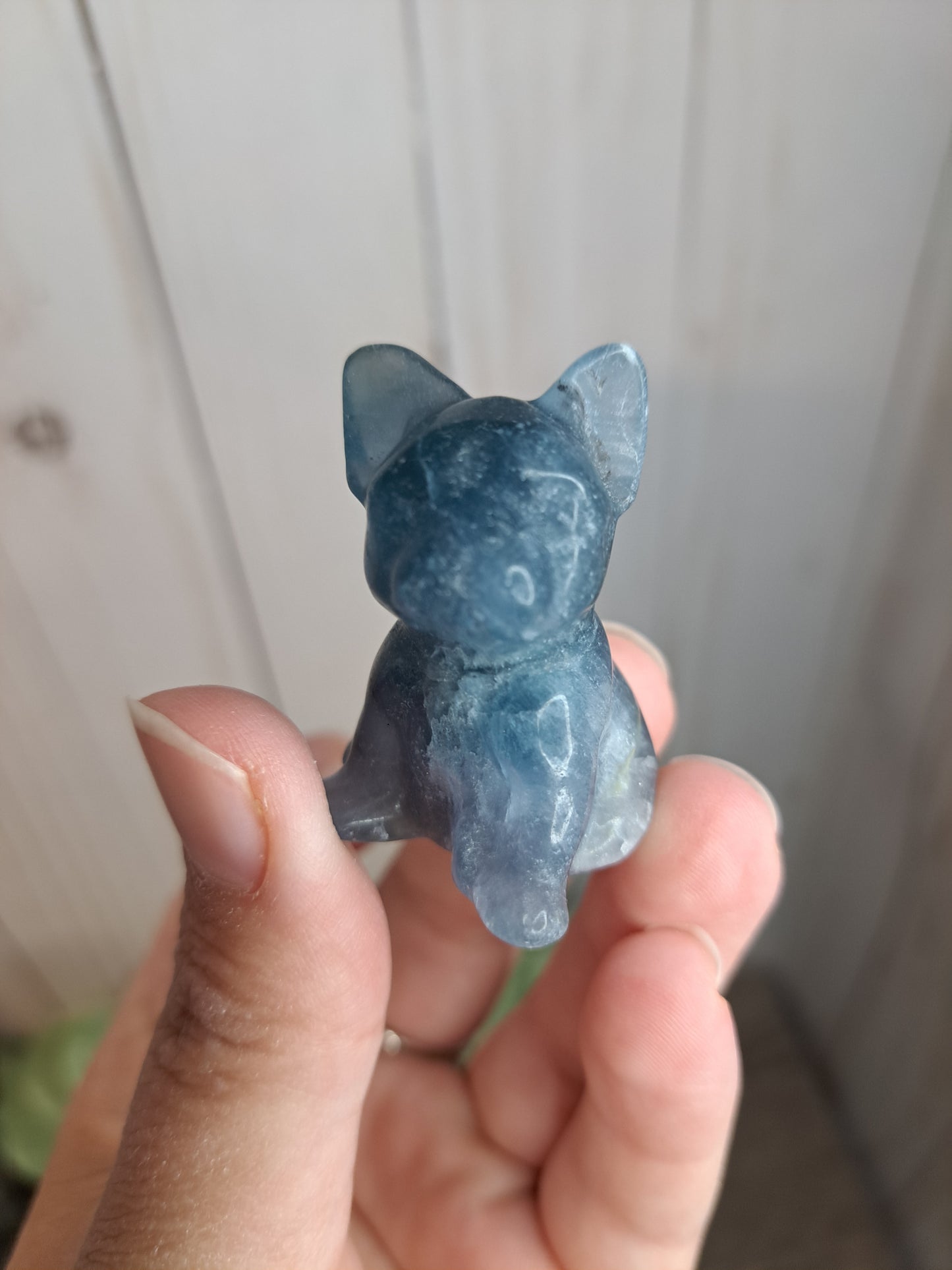 Dog Blue Fluorite Carving