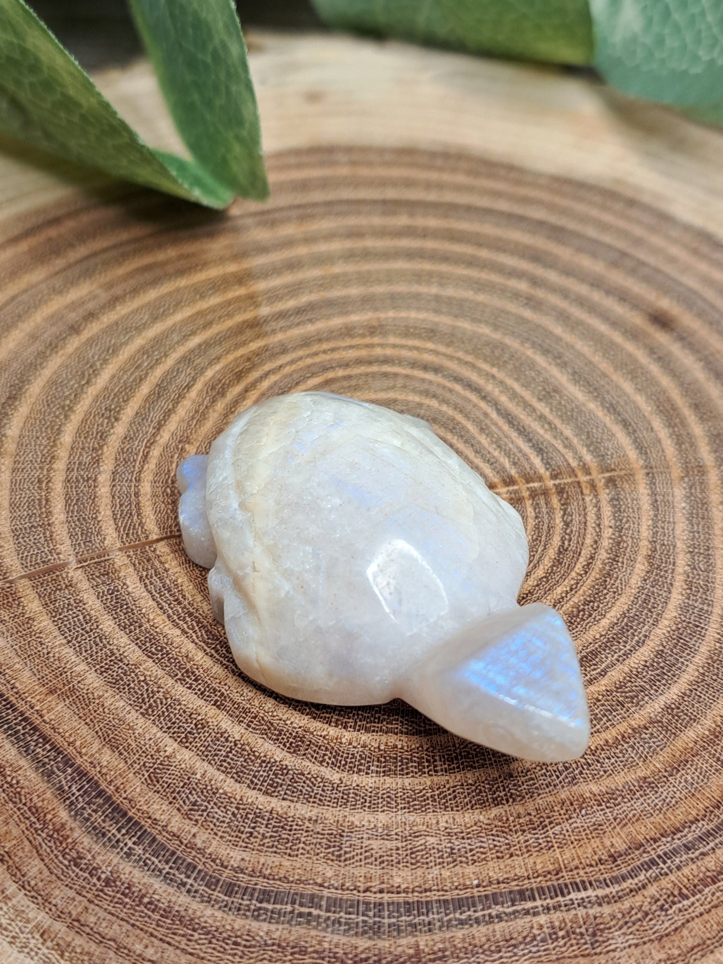Moonstone Turtle Carvings