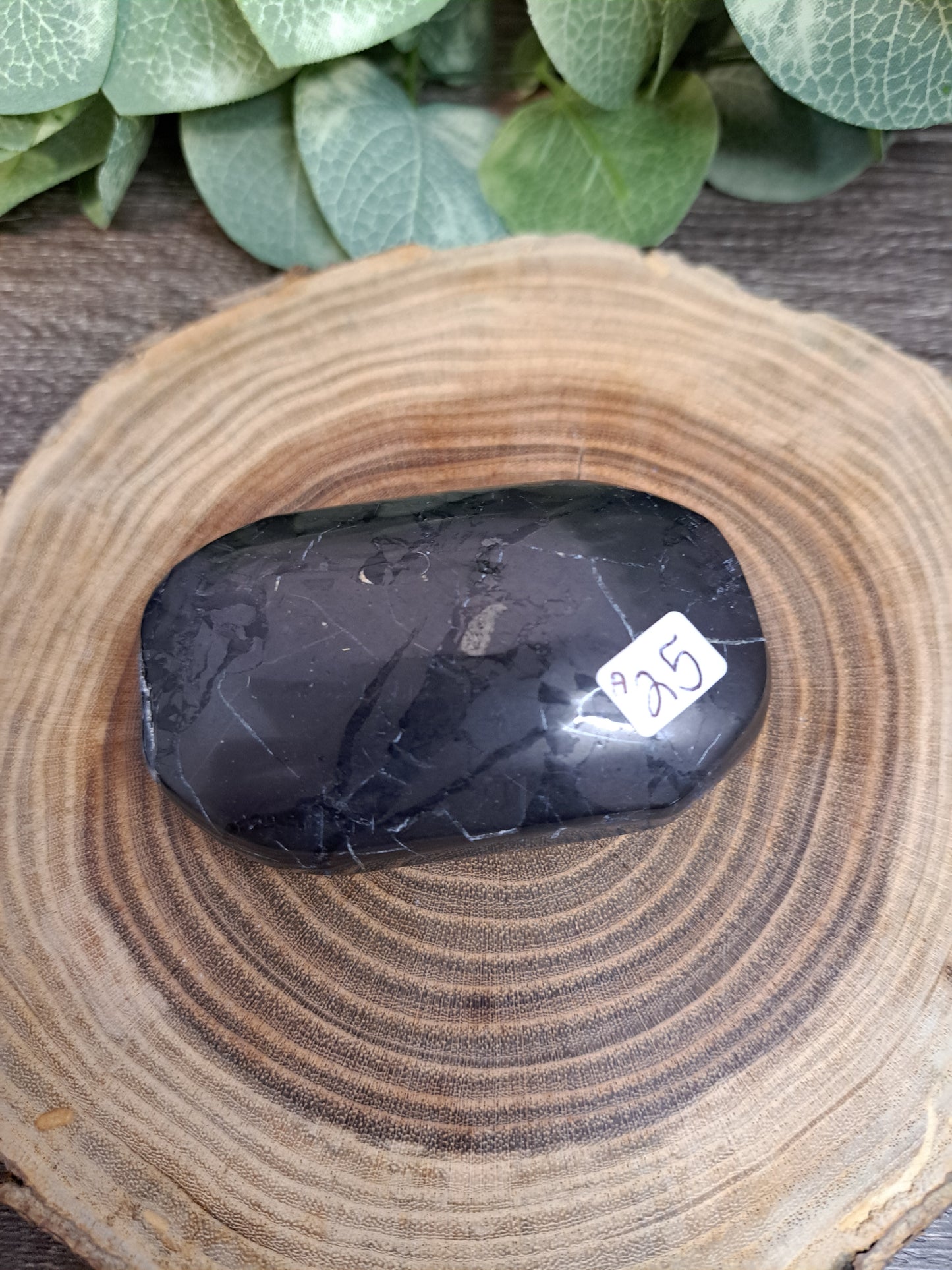 Shungite Palm Stones