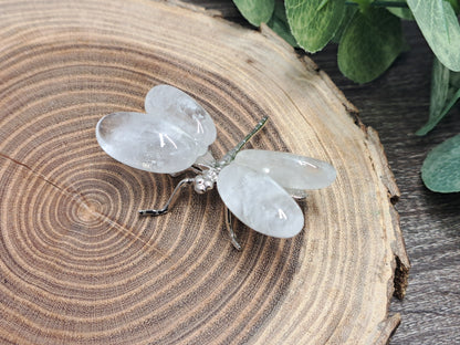 Dragonflies