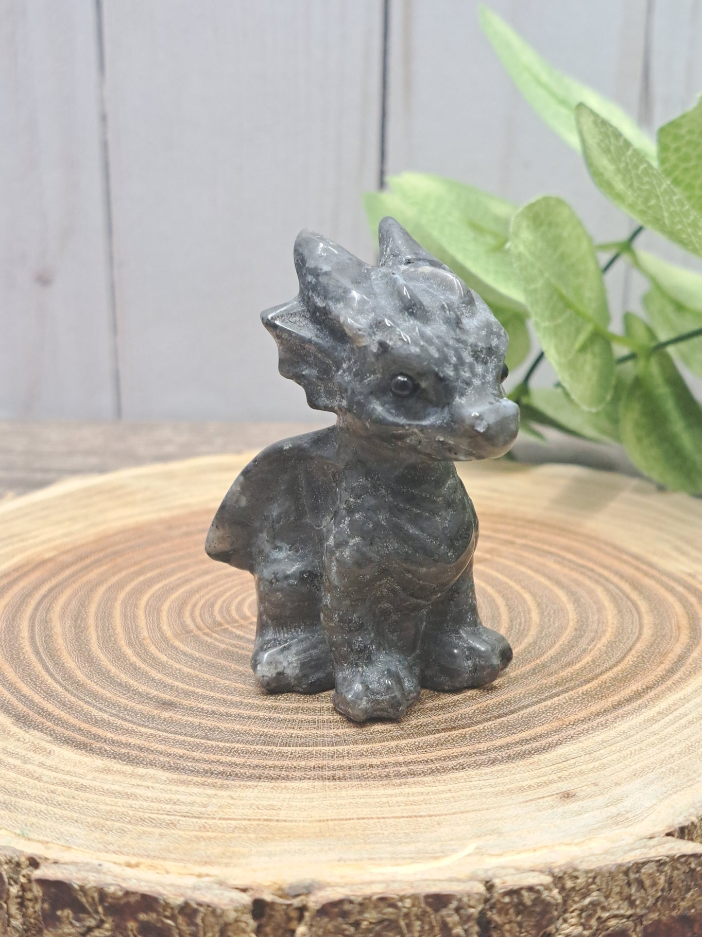 Baby Dragon - Small