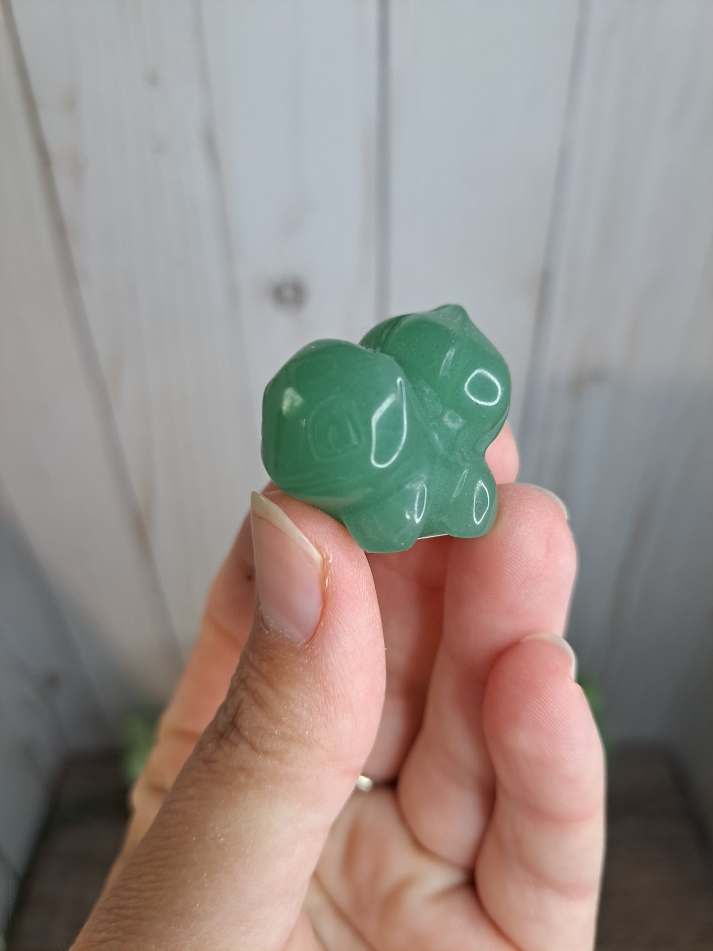 Bulbasaur Carving - Pokemon