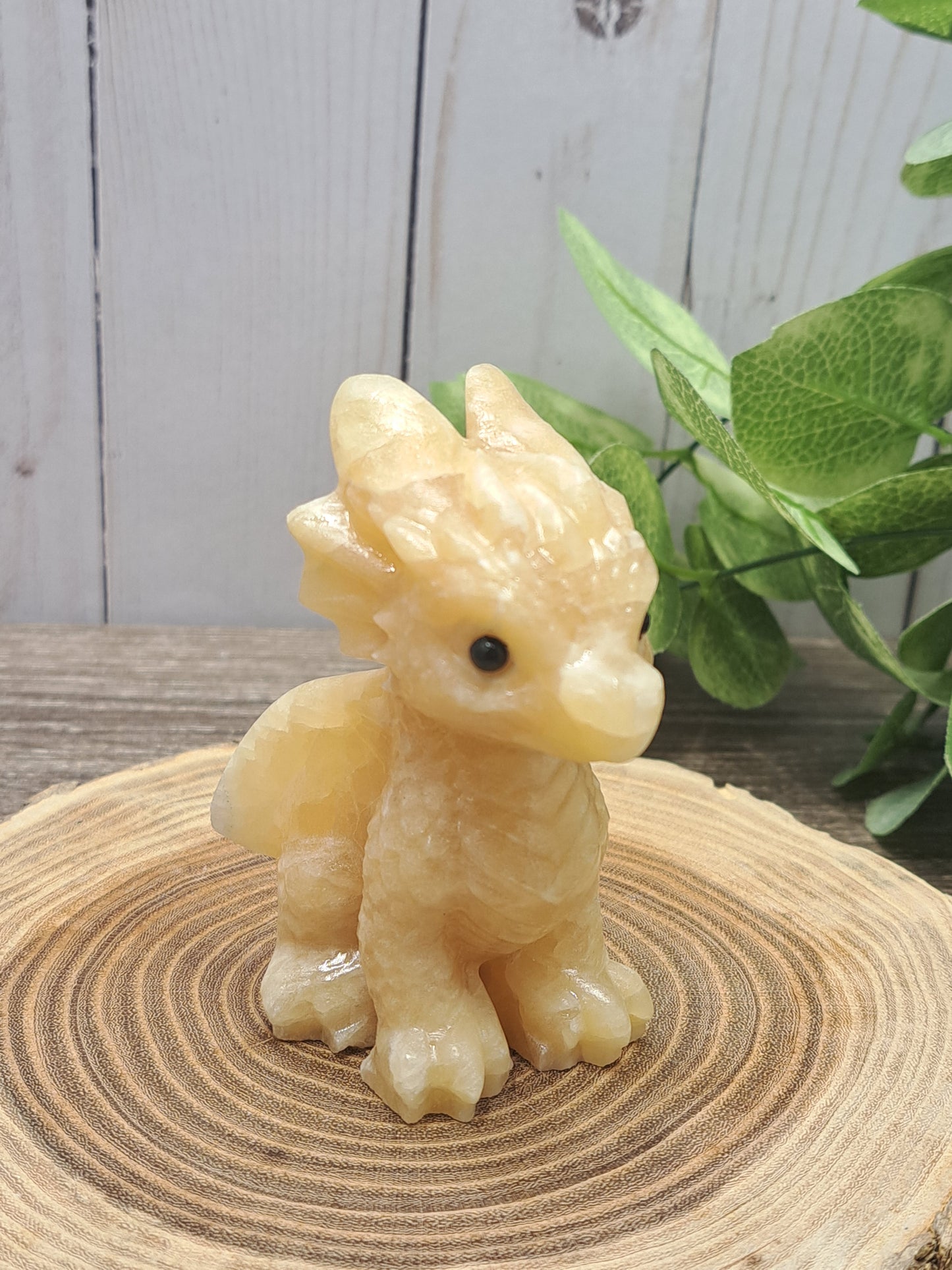 Baby Dragon - Large