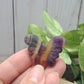 Butterfly Carvings