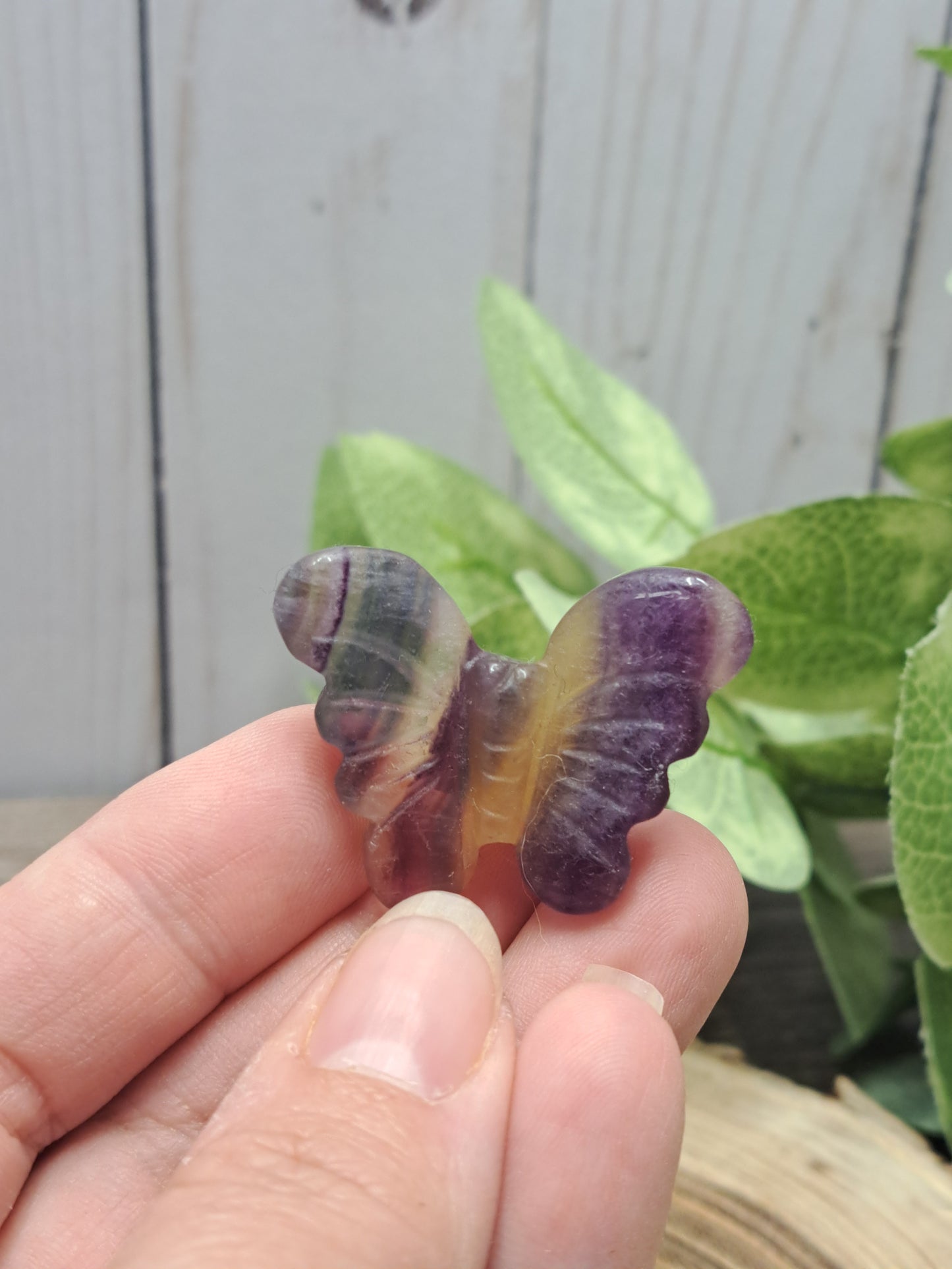 Butterfly Carvings