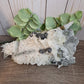 Chrysanthemum Quartz with Pyrite and other inclusions - Statement Cluster