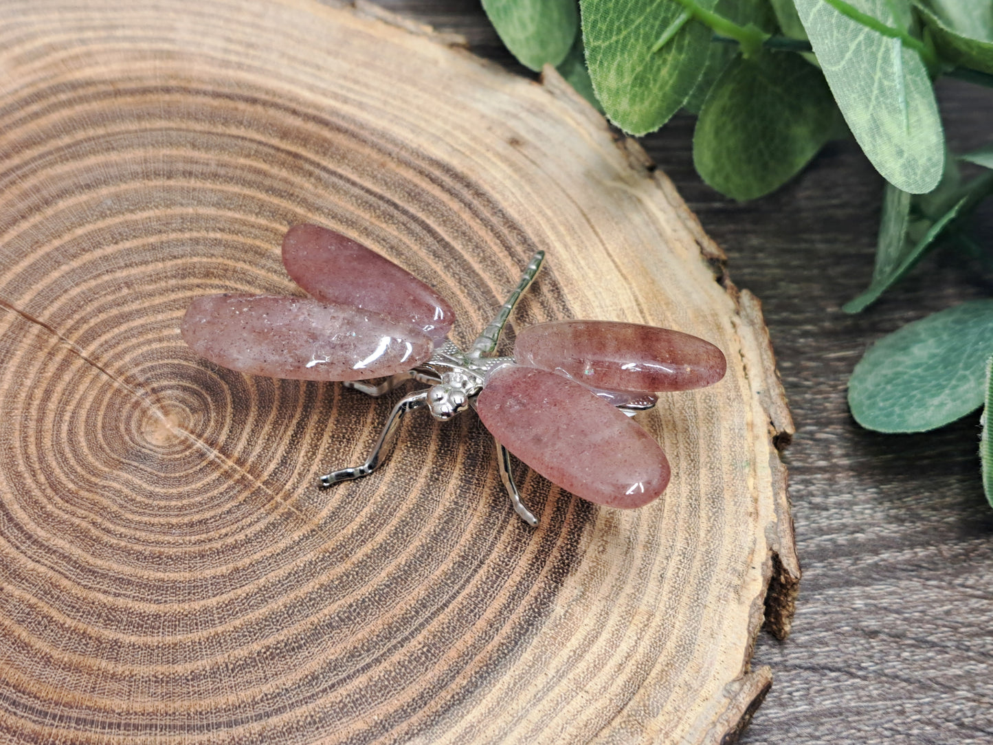 Dragonflies
