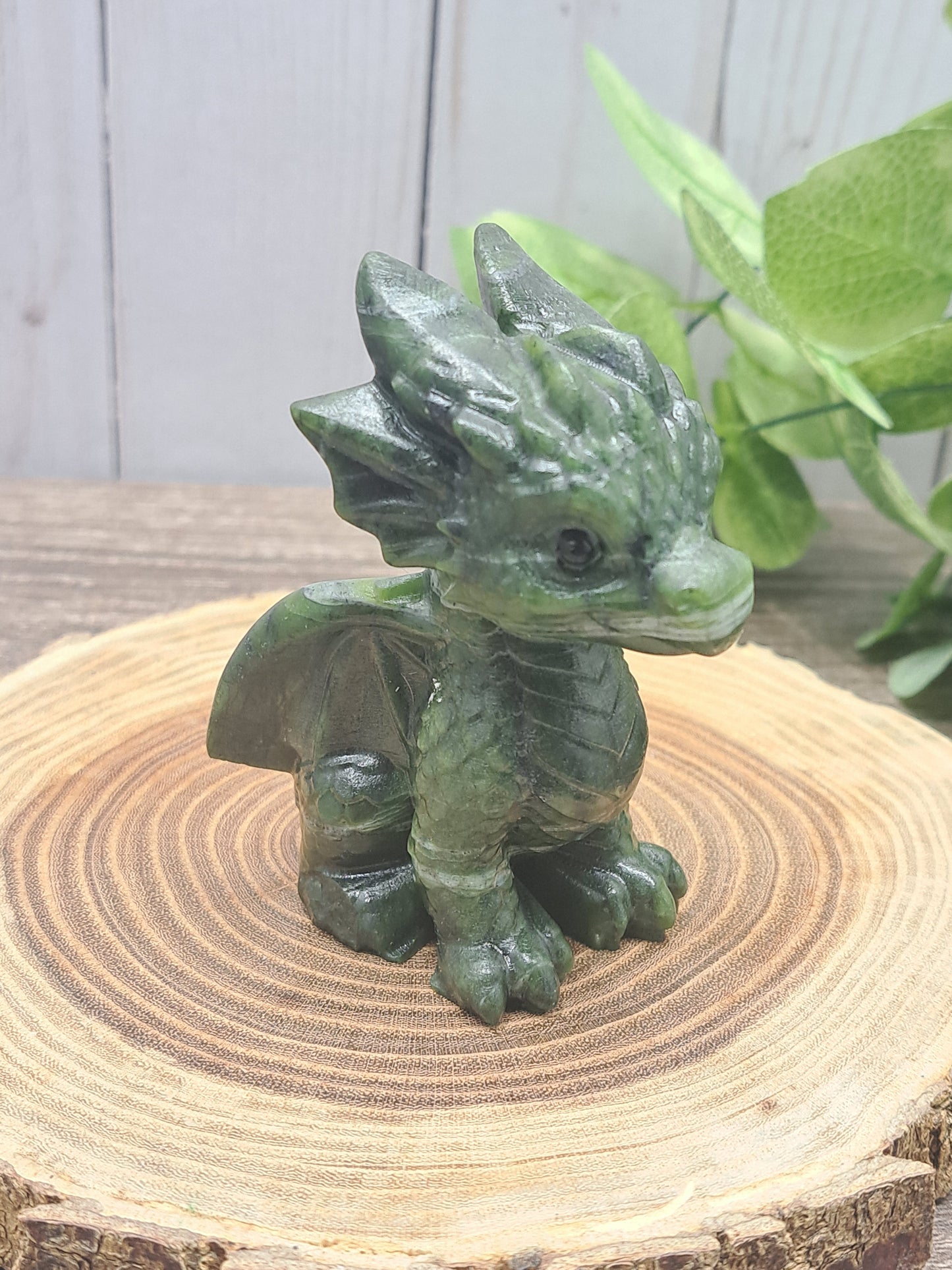 Baby Dragon - Large