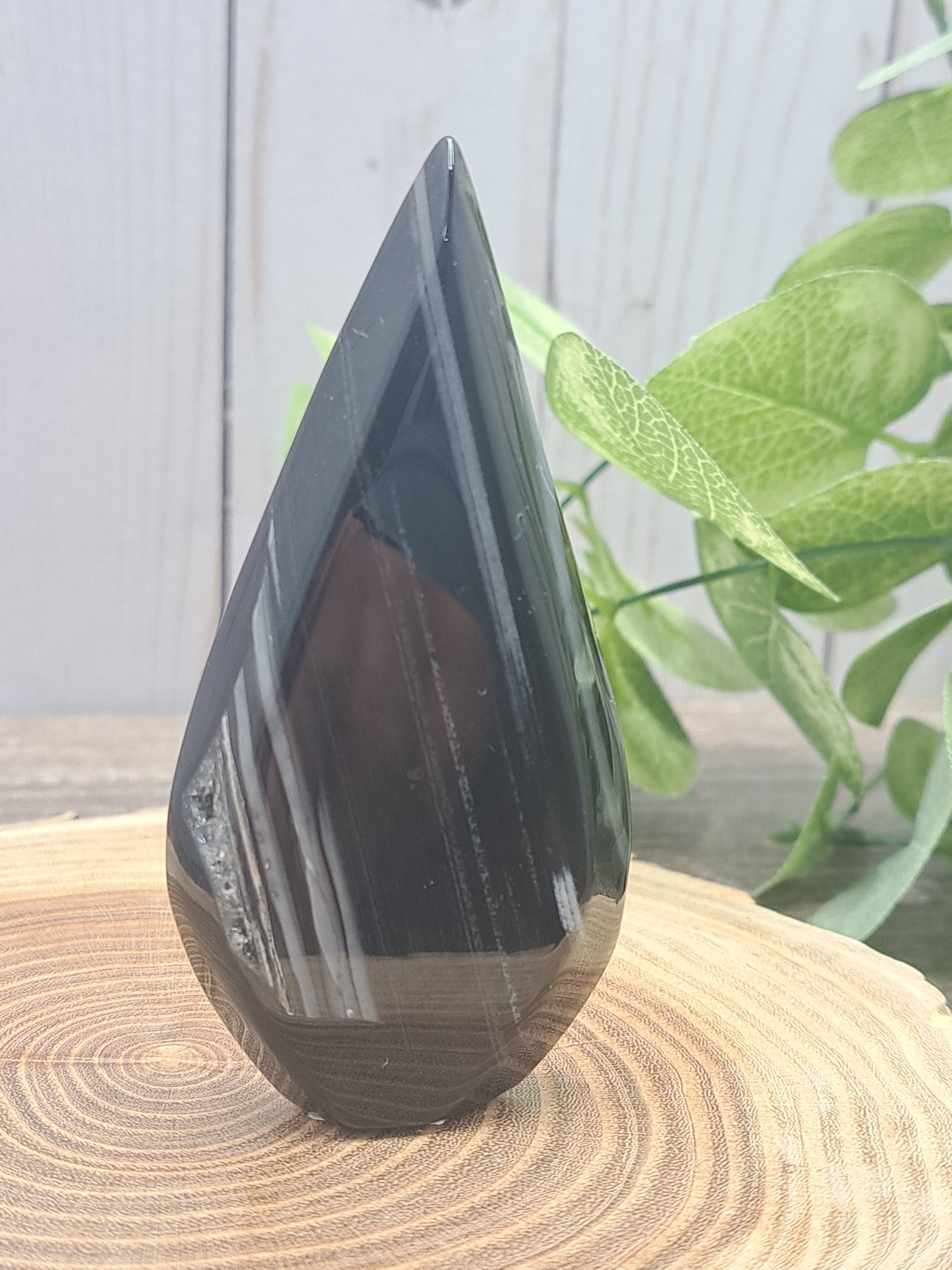 Black Agate Freeforms