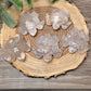 Flower Agate Turtles