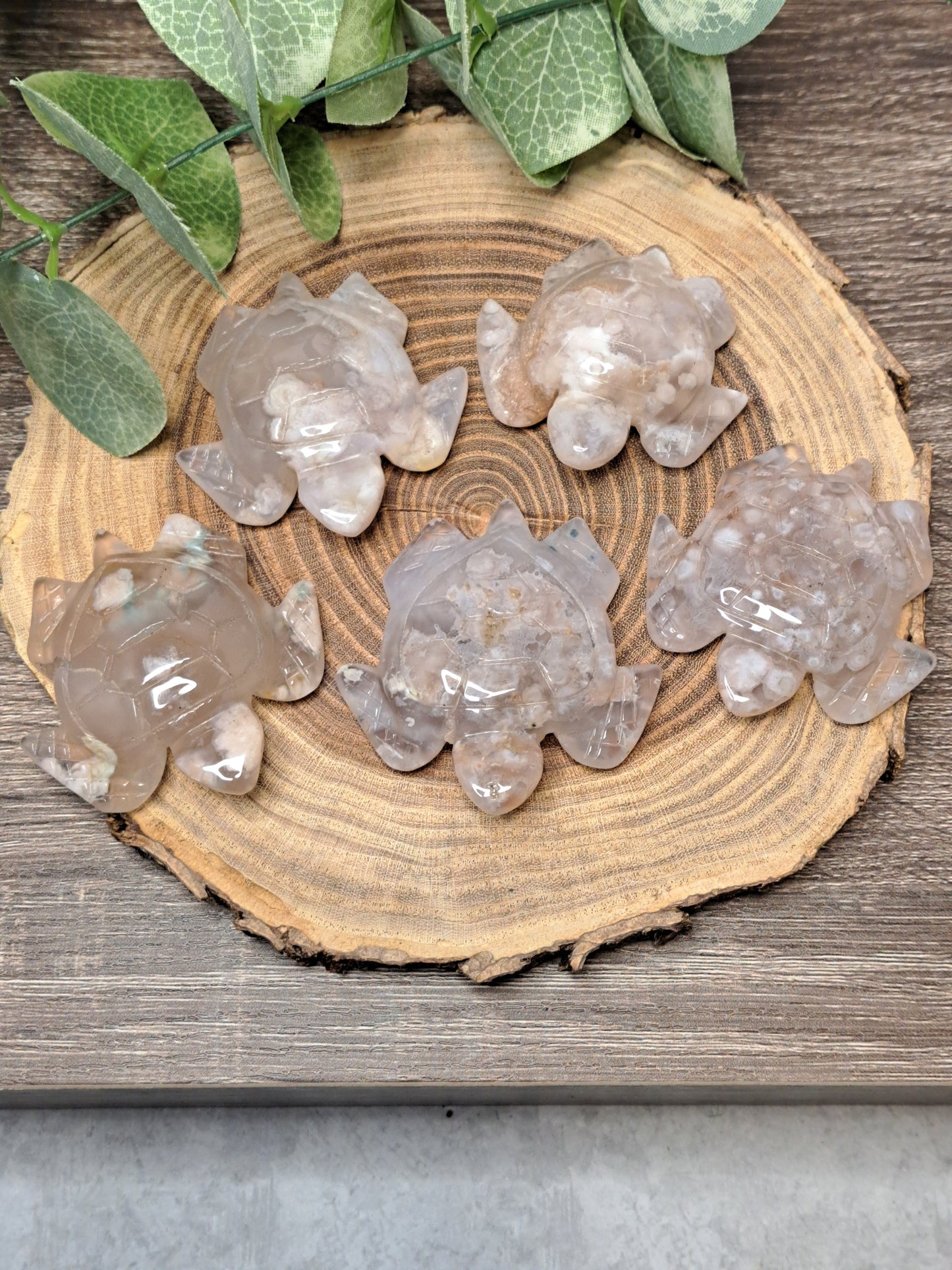 Flower Agate Turtles