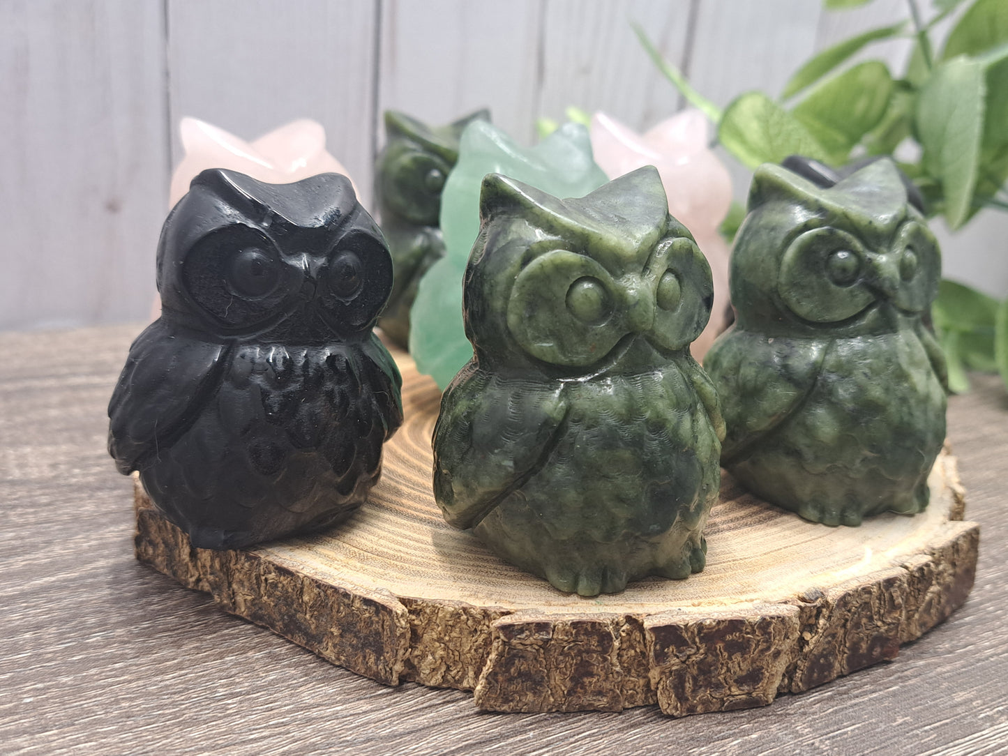 Owl Carvings - Medium