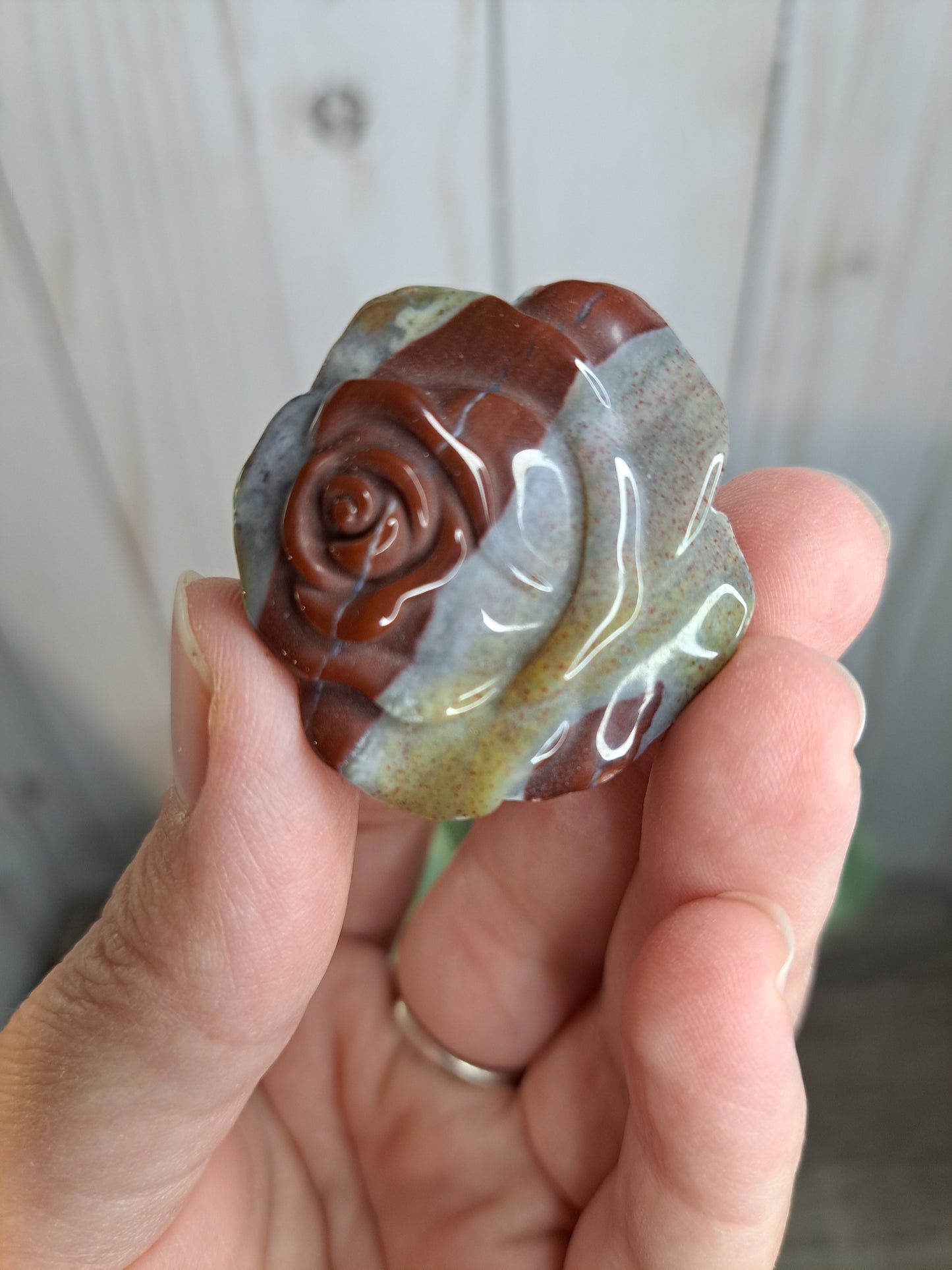 Ocean Jasper Roses