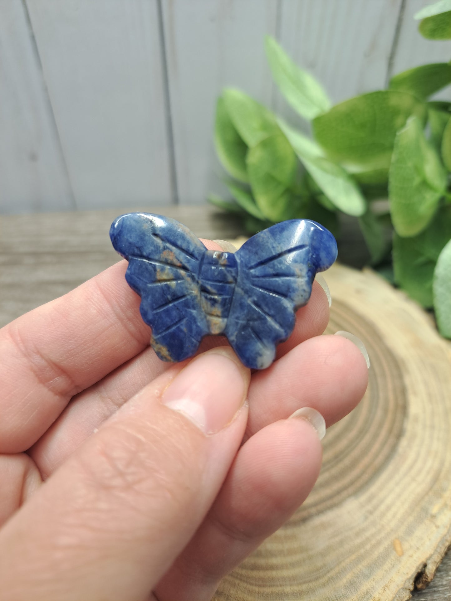 Butterfly Carvings