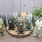 Baby Dragon - Large