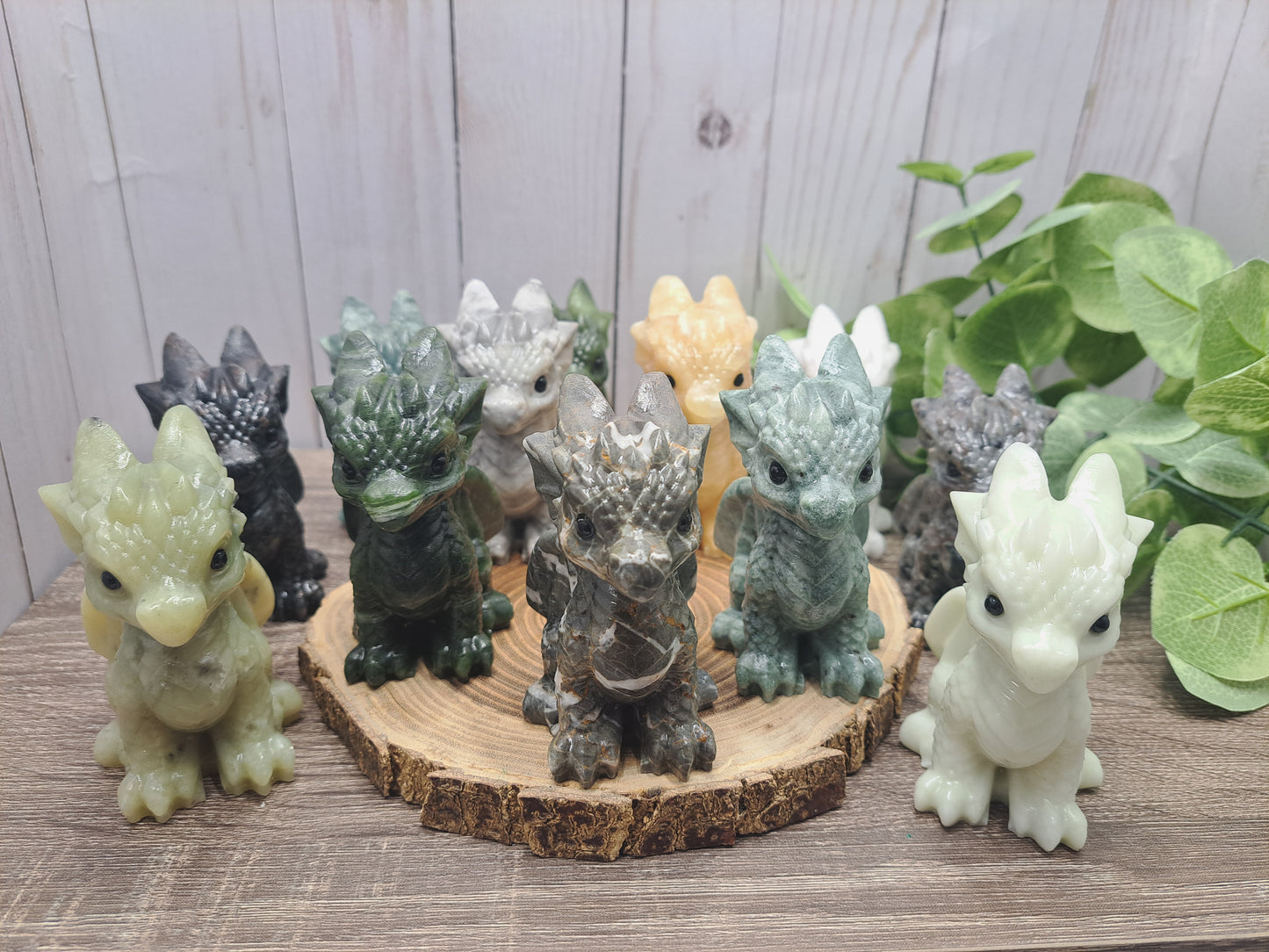 Baby Dragon - Large
