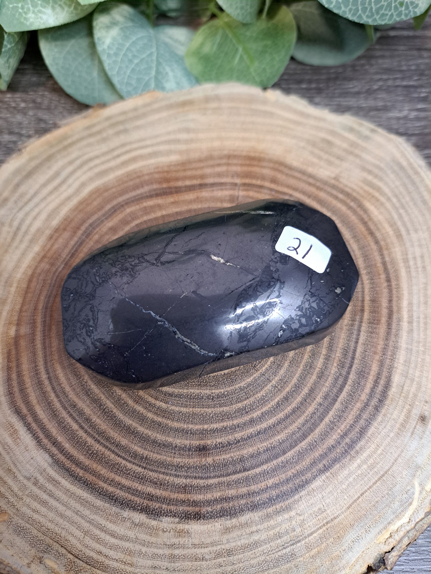 Shungite Palm Stones